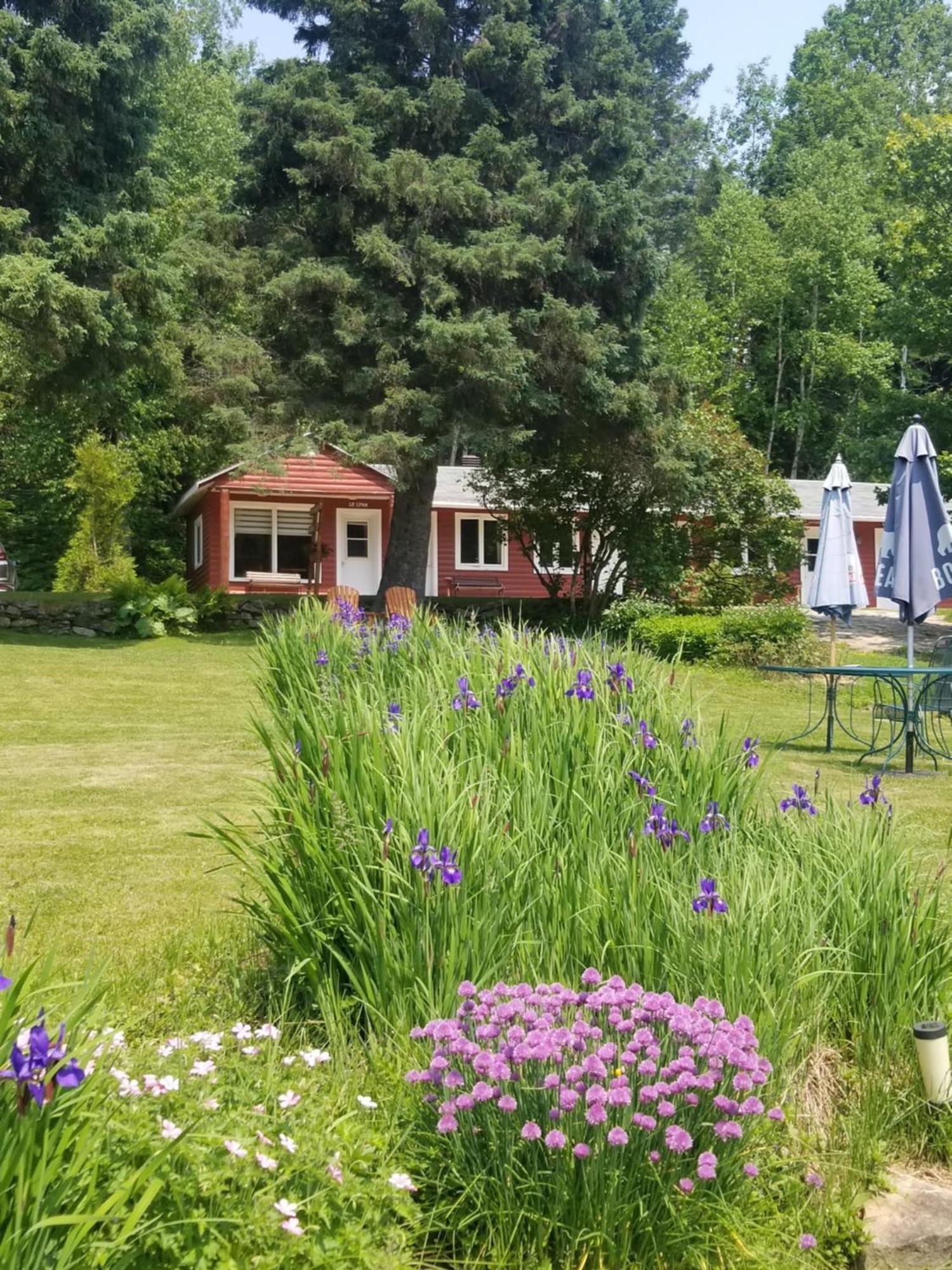 Kan-A-Mouche Pourvoirie Auberge Et Chalets Saint-Michel Szoba fotó